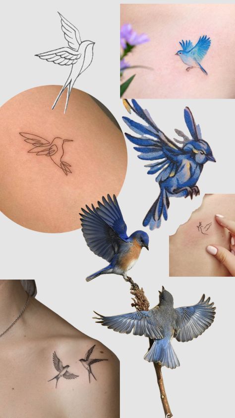 #myfirstshuffle #tattoos #bluebird #bluebirds #tinytattoo Blue Bird Tattoo Harry Styles, Blue Jay Tattoo Small Outline, Blue Jay Fine Line Tattoo, Simple Bluebird Tattoo, Blue Jay Outline Tattoo, Blue Jay Tattoos For Women, Blue Jay Tattoo Design, Small Blue Bird Tattoo, Bluebird Tattoo Black And White