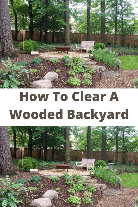 Backyard Ideas For Wooded Area, Backyard With Trees Ideas, How To Clean Up Backyard Woods, Clearing Woods Backyard, Woodsy Backyard Landscape, Natural Backyard Ideas, Landscaping Wooded Backyard, Forested Backyard Ideas, Backyard In The Woods