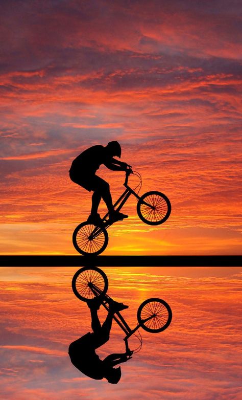 Paint 2024, Scorpio Art, Bmx Freestyle, Ipad Wallpapers, Ipad Background, Iphone 6 Wallpaper, Phone Screen Wallpaper, Sports Room, Bicycle Art