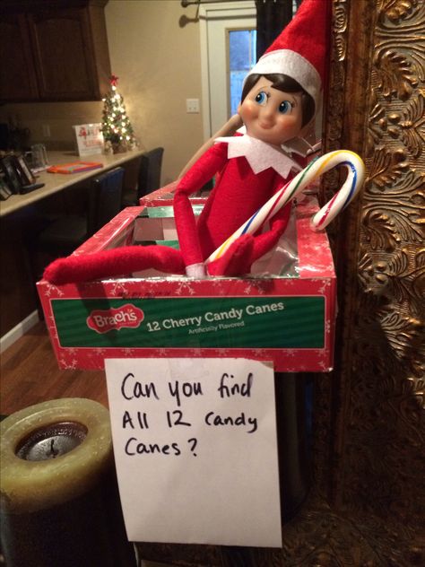 Elf on shelf - find all 12 candy canes Ideas Notes, Timmy Time, Shelf Elf, Elf Magic, Awesome Elf On The Shelf Ideas, Xmas Elf, Elf Antics, Elf Fun, 4 December