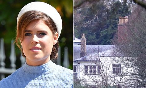 Princess Eugenie has shared a peek inside her home at Frogmore Cottage, which is her cousin... Frogmore House, Frogmore Cottage, Jack Brooksbank, English Royalty, White Wall Decor, Yellow Daffodils, World Environment Day, Princess Beatrice, Duchess Of York