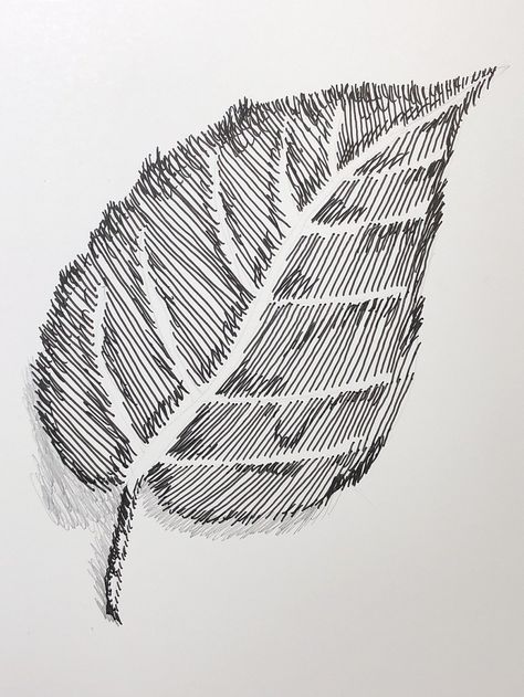 By Tresha Barger - This artwork uses a series of straight, diagonal, and parallel lines to form the image of a leaf. Diagonal Lines Art Design, Straight Line Drawing, Value Drawing, Broken Lines, Different Lines, Diagonal Line, Line Artwork, Parallel Lines, Line Flower