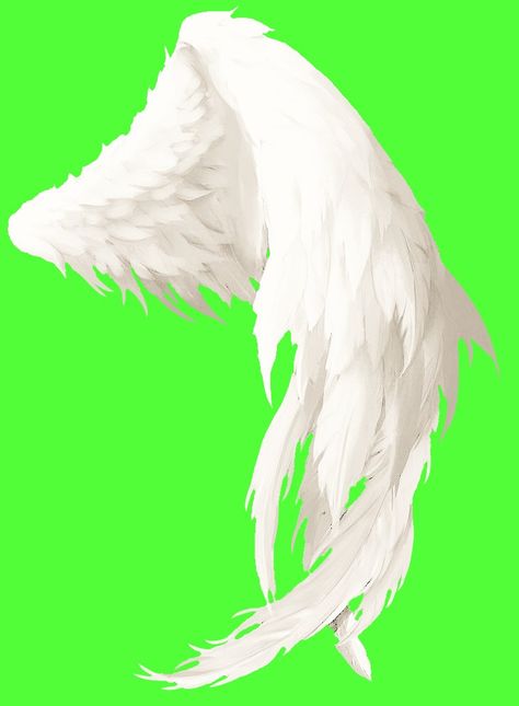 Gacha Angel Background, Free Gacha Green Screen, Gacha Wings Green Screen, Wings Green Screen, Gacha Wings, Angel Wings Green Screen, Gacha Angel, Gacha Green Screen, Eff Gacha