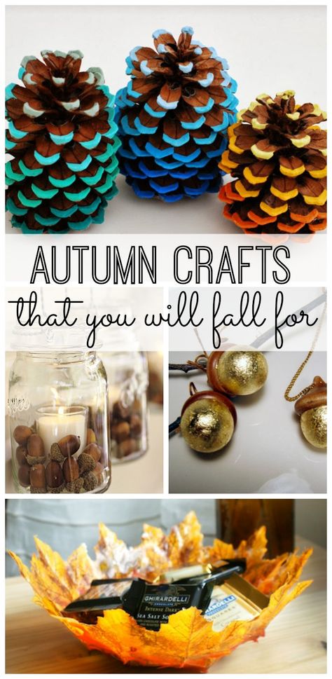 10 simple Autumn crafts that you will fall for. Simple Autumn Crafts, Warm Apple Cider, Easy Fall Crafts, Diy Halloween Projects, Apartment Diy, Fall Crafts Diy, Autumn Crafts, Easy Fall, Cool Ideas