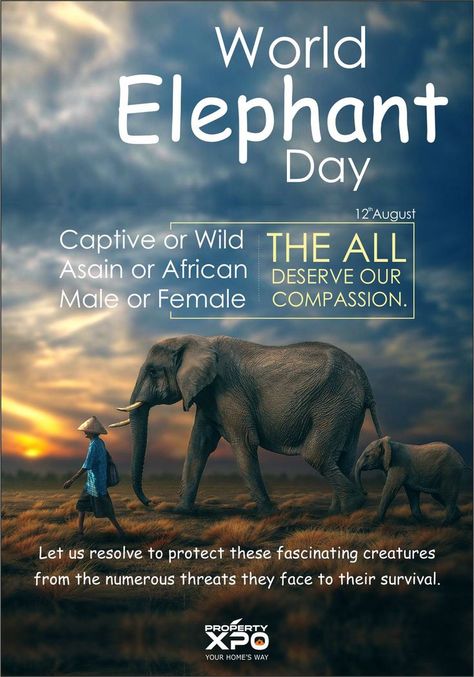 Elephants are as unique and amazing, as they are necessary in our ecosystems. From treading lightly on the planet they have a positive symbolic meaning in different cultures all over the world and are considered a symbol of good luck, power, success, wisdom and experience. Celebrating International Elephant Day, let’s admire the learning from CREATURES to inspire the CREATORS! #ElephantDay #YouthDay #internationalyouthday #whiteelephanttech #wetech #saveelephants #propertyxpo Elephant Day Poster, World Elephant Day, International Youth Day, Youth Day, General Ideas, Save The Elephants, Different Cultures, Pet Day, Elephant Design