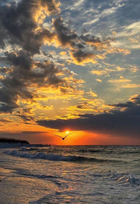 Sunrises And Sunsets | Pensacola Beach, Florida | Facebook Pensacola Beach Florida, Sunrises And Sunsets, Pensacola Florida, Beach Sunrise, Pensacola Fl, Pensacola Beach, Sunrise Beach, Destin Beach, Sunrise Photography