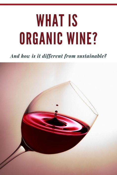 What is Organic Wine & What are the Benefits of Drinking Organic Wines? 2 Wine Benefits, Turmeric Drink, Wine Business, Aphrodisiac Foods, Pinot Blanc, Wine Recommendations, Eat Something, Organic Wine, Wine Wall