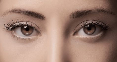 most attractive blessed eyes are really nice Best Eyelash Growth Serum, Parts Of The Eye, Eyebrow Serum, Attractive Eyes, Ethereal Aesthetic, Photos Of Eyes, Eyelash Growth Serum, Eyelash Serum, Beauty Games