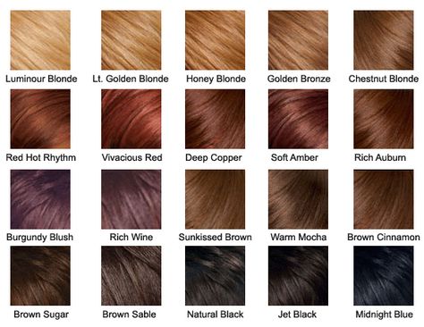 Hair Color Palette-Sunkissed Brown :) Red Hair Color Chart, Cinnamon Brown Hair, Bronze Hair Color, Blonde Hair Color Chart, Brown Hair Color Chart, Medium Brown Hair Color, Cinnamon Hair Colors, Hair Color Brown Chestnut, Copper Blonde Hair Color