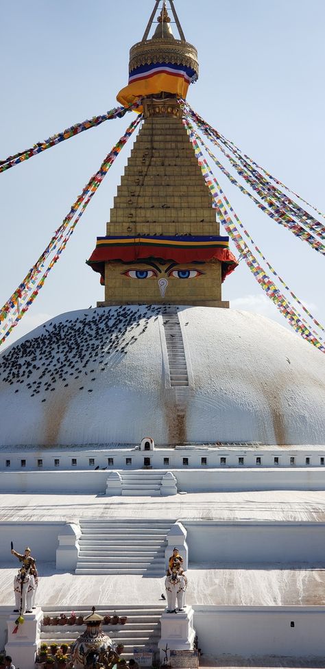 Ig: shresthakajina #nepal #boudha #buddha #travelnepal #heritage #UNSCEO #worldheritage #places #monastries #Nepal #visitnepal2020 #buddhism #boudhanath Boudhanath Stupa, Nepal Travel, Coffee Company, World Heritage, Buddhism, Nepal, Vision Board, Portfolio, Coffee