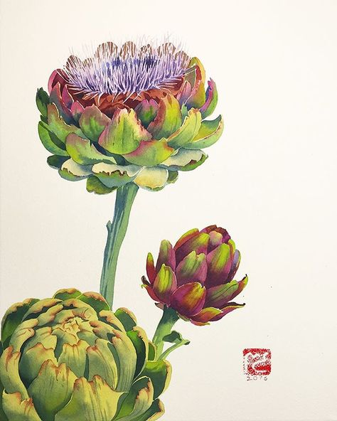 Artichoke Flower, Cactus Pictures, Support Art, Plant Painting, Botanical Painting, Botanical Watercolor, Botanical Illustrations, Plant Illustration, Botanical Wall Art