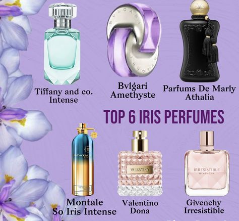 Iris perfumes, women perfume, perfume for women Bvlgari Amethyst Perfume, Parfums De Marly Athalia, Givenchy Irresistible For Women, Bvlgari Amethyst, Irresistible Perfume, Iris Perfume, Notes Guide, Perfume Wishlist, Givenchy Irresistible