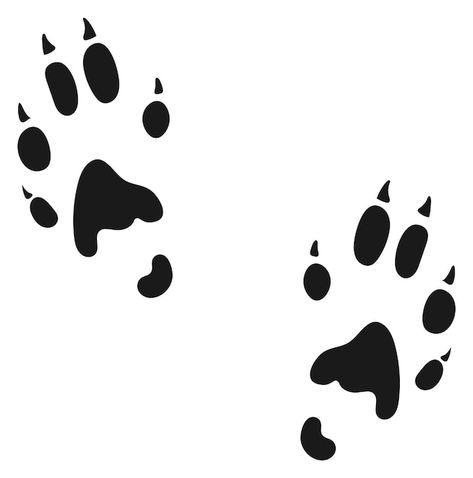 Ferret Paw Print Tattoo, Raccoon Paw Print, Ferret Anatomy, Raccoon Tattoos, Raccoon Paws, Paw Print Drawing, Paw Print Background, Animal Paws, Raccoon Tattoo