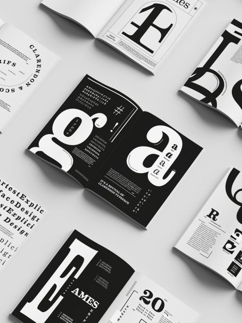 Process Book Graphic Design, Typography Booklet Design Layout, Section Divider Page Design, Specimen Book Typography, Art And Design Portfolio Ideas, Type Specimen Book Layout, Typography Magazine Design, Glossary Design Layout, Typographic Zine