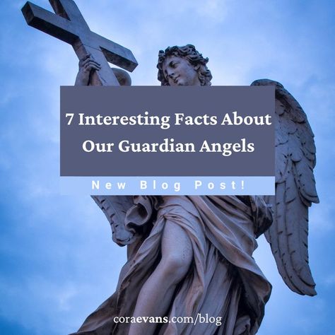 We really don’t know much about guardian angels, but we hear about them all the time. As we approach the Feast of Guardian Angels on October 2 let’s learn a little about our heavenly friends who are on this journey with us. #GuardianAngels #Catholic #FeastDay Franciscan University, Reading Boards, Pope Benedict Xvi, Pope Benedict, My Guardian Angel, Your Guardian Angel, Hallmark Cards, Archangel Michael, October 2