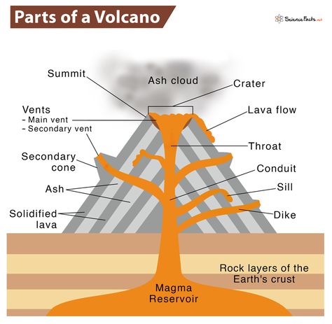 Parts Of A Volcano, Volcano Parts, Volcano Science Projects, Volcano For Kids, Volcano Drawing, Shield Volcano, Biology Projects, Weather Science, Science Week