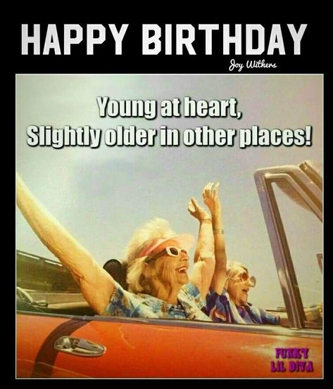 Happy Birthday Old Friend, Birthday Funnies, Birthday Thoughts, Birthday Things, Bday Wishes, Old Lady Humor, Birthday Pins, Anniversary Greetings, Birthday Wishes Funny