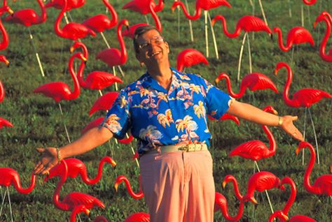 Don Featherstone, Creator of the Plastic Lawn Flamingos in 1957 Pink Flamingos Lawn Ornaments, Plastic Pink Flamingos, Lawn Flamingos, Plastic Flamingo, John Waters, Lawn Ornament, Flamingo Art, Flamingo Party, Pink Bird