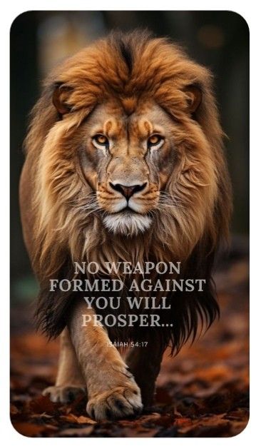 Lion Bible Verse, Lion Of Judah Jesus, Healing Bible Verses, Bible Quotes Images, Powerful Bible Verses, Like A Lion, Christian Pictures, Beautiful Prayers, Biblical Verses