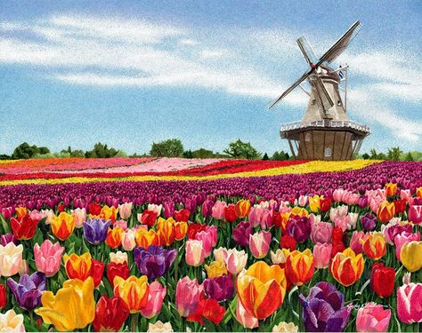 Tulips Netherlands, Windmill Landscaping, Felting Inspiration, Holland Windmills, Michigan Art, Holland Michigan, Easy Flower Painting, Tulip Painting, Tulip Festival