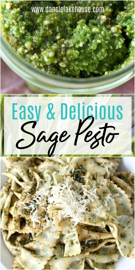 Easy and Delicious Sage Pesto Sage Pasta Recipes, Sage Uses Recipes, Recipes Using Sage, Hardy Recipes, Types Of Pesto, Pesto Meals, Simple Pesto Pasta, Simple Pesto Recipe, Pesto Recipes Dinner