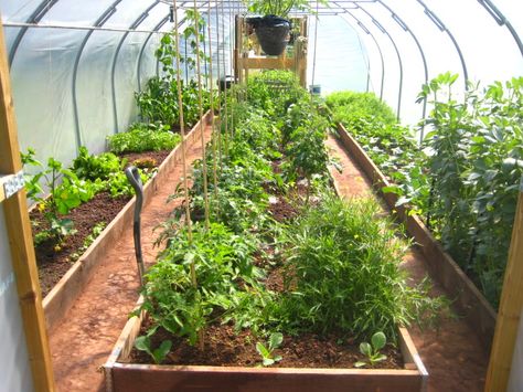 Greenhouse Planting Layout, Polytunnel Ideas, Serre Diy, Greenhouse Inspiration, Planting Layout, Poly Tunnel, Vege Garden, Outdoor Greenhouse, House Planter