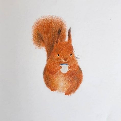 Red Squirrel Aesthetic, Vintage Squirrel Illustration, Squirrel Cute Illustration, Cute Squirrel Drawing, Chipmunk Illustration, Squirrel Illustrations, Squirrel Drawing, Squirrel Illustration, Squirrel Art