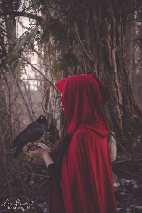 Red Cloak Fantasy Art, Red Riding Hood Aesthetic, Lup Singuratic, Fairytale Photoshoot, Cerise Hood, Red Witch, Red Ridding Hood, Halloween Photography, Surreal Photos