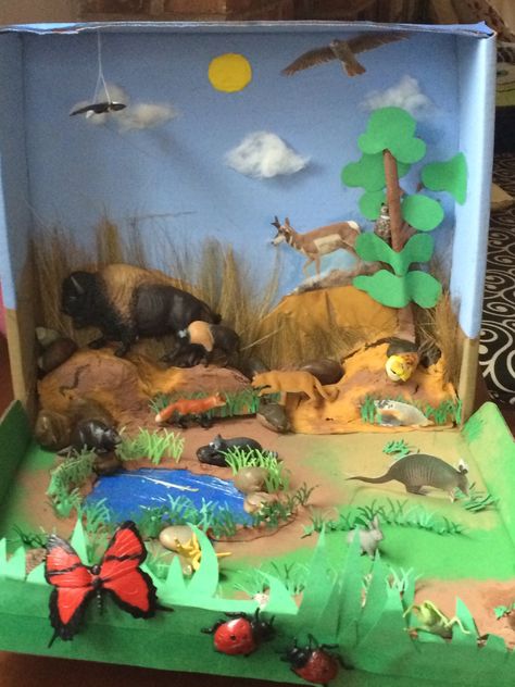 Biome Diorama- Grasslands Prairie Biome Project, Wetland Diorama, Zoo Diorama, Ecosystems Diorama, Landform Projects, Grassland Biome, Ocean Diorama, Biomes Project, Diorama Kids