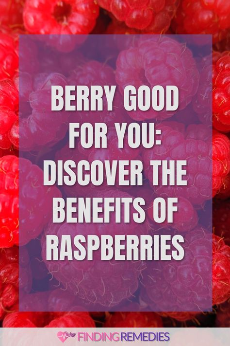 Berry Good for You: Discover the Benefits of Raspberries Low Calorie Fruits, Fruit Health Benefits, Berry Good, Fruit Benefits, Improve Heart Health, Detox Your Body, Healing Power, Daily Diet, Healthier You