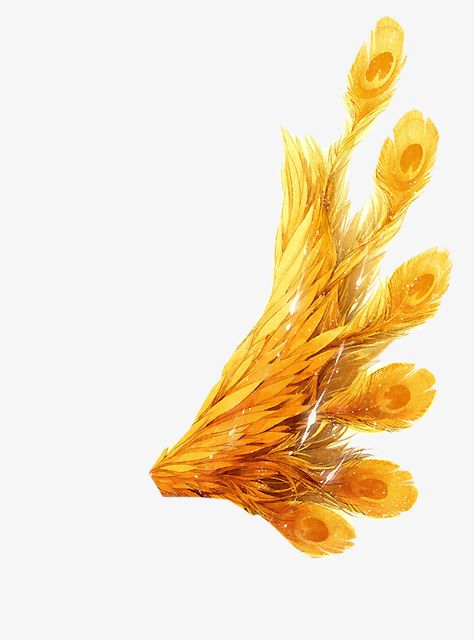 phoenix feather,peacock feather,gold ink,ink feather,phoenix,feather,peacock,gold,ink,golden clipart,feather clipart Phoenix Tail Feathers, Jasmine 2019, Phoenix Feathers, Ink Feather, Editing Pngs, Phoenix Feather Tattoos, Feather Png, Feather Clipart, Human Hybrid