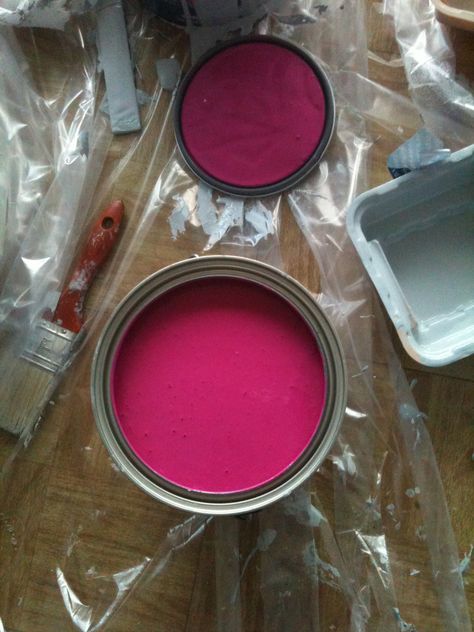 Glidden Very Berry.... The color I want to paint the bathroom!! Fushia Accent Wall, Fuschia Front Door, Hot Pink Wall Paint, Colorful Maximalist Decor, Fairy Life, Pink Painted Walls, Colorful Maximalist, Hot Pink Walls, Den Decor