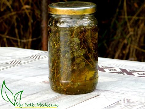 How to Make Thyme Infused Oil at Home? How To Make Thyme Oil, Thyme Oil Recipes, Thyme Oil Benefits, Thyme Infused Olive Oil, Homemade Oils, Infused Oil Recipes, Medicinal Remedies, Skincare Homemade, Herb Infused Olive Oil