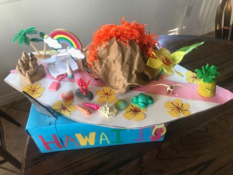 Hawaii Diorama, Hawaii State Float Project, Hawaii State Project, State Float Project, Chemistry Project, State Project, Chemistry Projects, Box Project, Notes Aesthetic