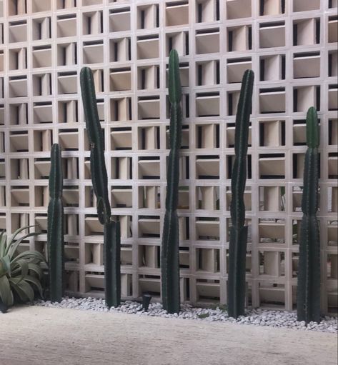 Roaster Wall, Roster Facade, Wall Separation Ideas, Mexican Beach House Decor, Mexican Beach House, Ventilation Block, Cactus Background, Roster Beton, Mid Century Interior Design