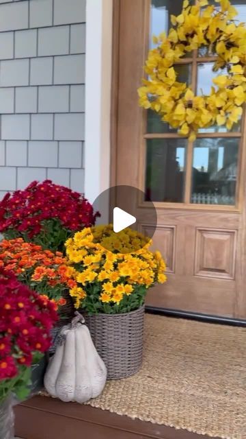 Balsam Hill on Instagram: "Fall preps are underway! Invest in realistic faux mums that will last fall-ever. 🍂⁣ ⁣ 📽️: @carcabaroad⁣ .⁣ .⁣ .⁣ .⁣ .⁣ #BalsamHill #Fall #Halloween #HalloweenDecor #FauxFlorals #Mums #Autumn" Mums In Planters Front Door, Mums In Planters, Planters Front Door, Faux Mums, Fall Prep, July 16, Faux Florals, Fall Halloween, Decor Crafts