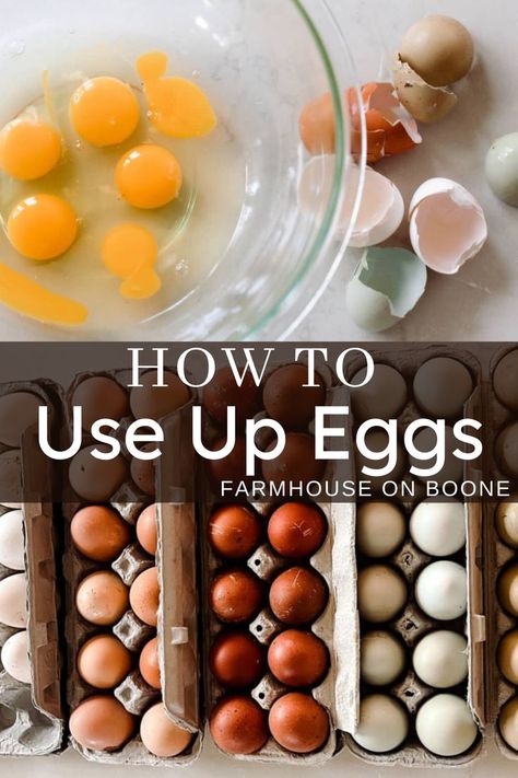 Learn how to use up eggs, either in recipes that call for a lot of eggs or preserving them. Owning chickens can come with an abundance of eggs, or barely any, so why not preserve them while there are plenty. Recipe Using Lots Of Eggs, Use Up Eggs, Sourdough Pasta Recipe, Eggs In Air Fryer, Freeze Eggs, Preserving Eggs, Egg And Potato, Egg Bakes, White Recipes