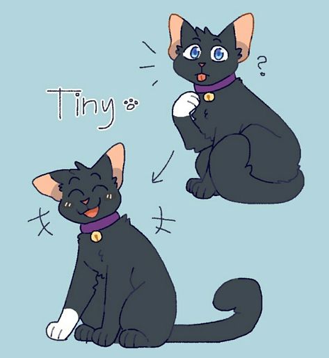 Tiny by skrs-cats (Tumblr) Tiny Warrior Cats, Warrior Cats Scourge, Warrior Cats Comics, Cats Tumblr, Warrior Cats Fan Art, Love Warriors, Warrior Cat Drawings, Warriors Cats, Warrior Cats Art