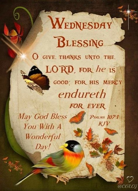 Church Clipart, Wednesday Memes, Wednesday Morning Quotes, Wednesday Greetings, Weekly Quotes, Wisdom Wednesday, Wednesday Blessings, Have A Blessed Week, Morning Wednesday