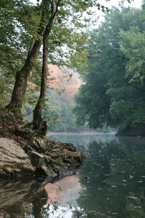 Mammoth Cave National Park, Mammoth Cave, National Park Road Trip, Green River, Alam Yang Indah, Nature Aesthetic, Landscape Photos, Nature Pictures, Nature Photos