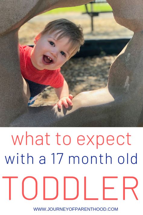 What to Expect with a 17 Month Old Toddler - Milestones and Development. Is Your Toddler on Track Compared to Other Children Their Age? #toddler #toddlermilestones Types Of Parenting Styles, Nursery Planning, Toddler Milestones, Toddler Essentials, May 1st, Baby Prep, Parenting Styles, Toddler Fun, Toddler Life