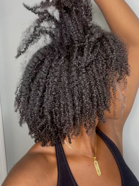 Healthy Curly Hair Black Women, Natural Hair Goals Black Women, Healthy 4c Hair Aesthetic, Healthy 4c Natural Hair, Long 4b Hair, 4c Curls, 4a Natural Hair, Curly Afro Hair, 4a Hair