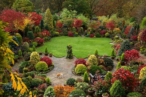 Autumn garden  Halloween visitor (October 31) by Four Seasons Garden, via Flickr Acer Garden, Pavers Landscaping, Landscaping Pavers, Four Seasons Garden, Outdoor Water Fountains, Arch Garden, Landscaping Around Trees, Statues Art, Garden Water Fountains