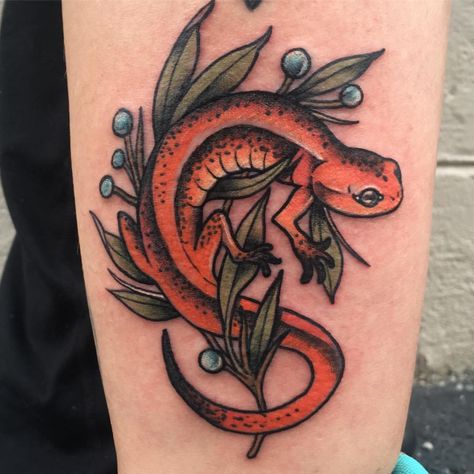 My salamander tattoo by Tony Putt Traditional Tattoo Nature, Salamander Tattoo, Lizard Tattoo, Traditional Tattoo Inspiration, Mother Nature Tattoos, Nature Tattoos, Piercing Tattoo, Animal Tattoos, Japanese Tattoo