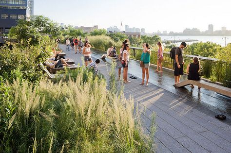 Manchester Maze - a green space on bridges and embankments linking the city to Salford would become a hive of social activity, say planning bosses New York High Line, Highline Nyc, Shop Architects, Visit New York, High Line, Rooftop Garden, Financial District, Roof Garden, Water Feature