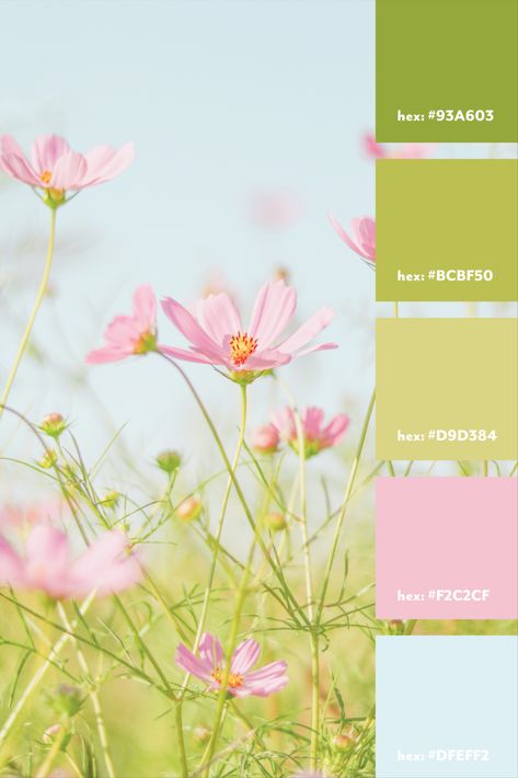 Pastel Pink Blue Green Palette, Pastel Green And Pink Color Palette, Green Summer Color Palette, Lime Green And Pink Aesthetic, Lime Green And Pink Color Palette, Pink Gold Green Color Palettes, Light Blue Pink Green Color Palette, Pink Green Blue Palette, Lime Colour Palette