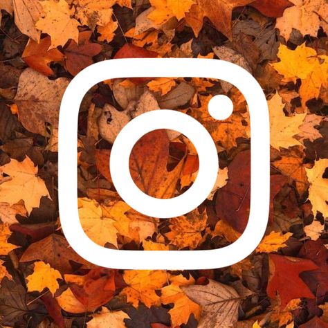 Autumn Iphone Icons, Fall Instagram Icon, Free Fall App Icons, Fall App Icons Aesthetic, Fall Asthetics, Autumn Ios, Ios Photo App, Spooky Icons, Fall App Icons