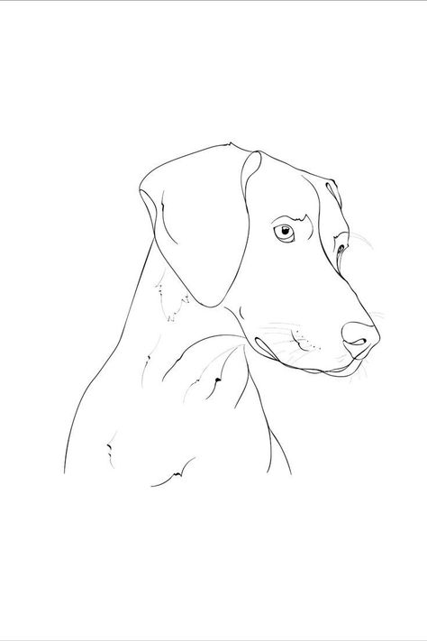 Weimaraner Line Drawing, Gsp Tattoo Ideas, Simple Corgi Drawing, Pointer Dog Tattoo, Vizsla Tattoo, Weimaraner Tattoo, Dog Outline Drawing, Line Drawing Dog, Dog Outline Tattoo