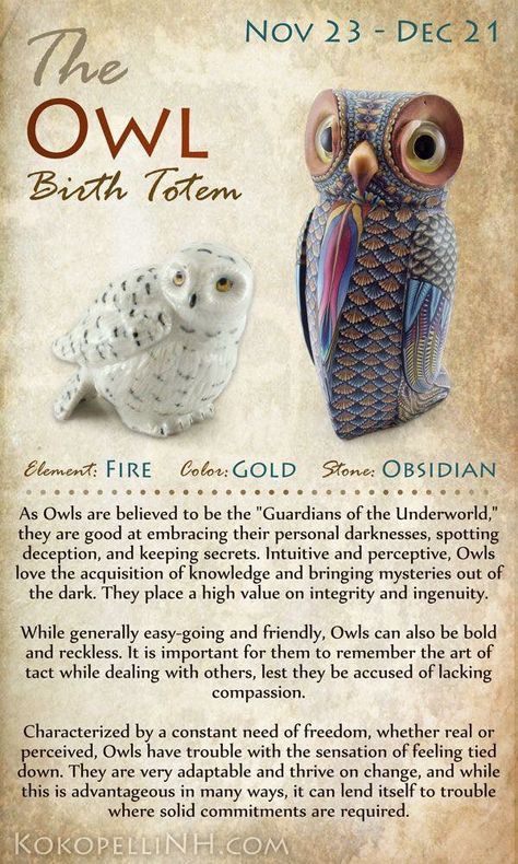 Owl Birth Totem Nov 23 - Dec 21 Animal Guides Birth Totem, Arte Haida, Native American Zodiac, Spirit Animal Totem, Native American Wisdom, Animal Spirit Guides, Animal Guides, Mia 3, Animal Totems