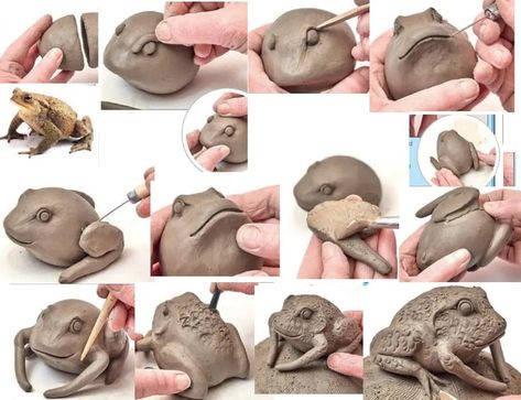 Easy Clay Sculptures, Ceramic Frogs, Pottery Animals, Pottery Workshop, Pottery Handbuilding, Clay Crafts Air Dry, Hand Built Pottery, Clay Animals, A Frog